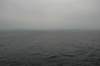 dsc_0097_small.jpg