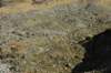 dsc_00982_small.jpg