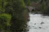 dsc_0382_small.jpg
