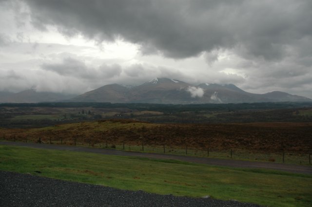 dsc_0485.jpg