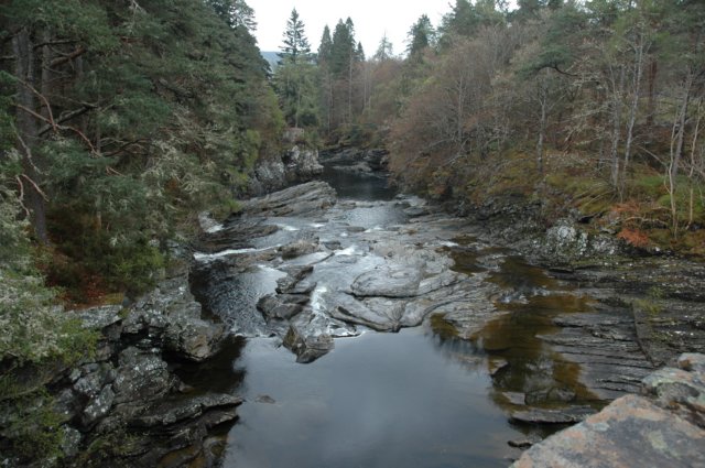 dsc_0516.jpg