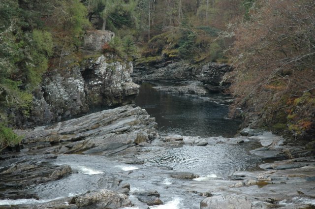 dsc_0517.jpg