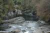 dsc_0517_small.jpg