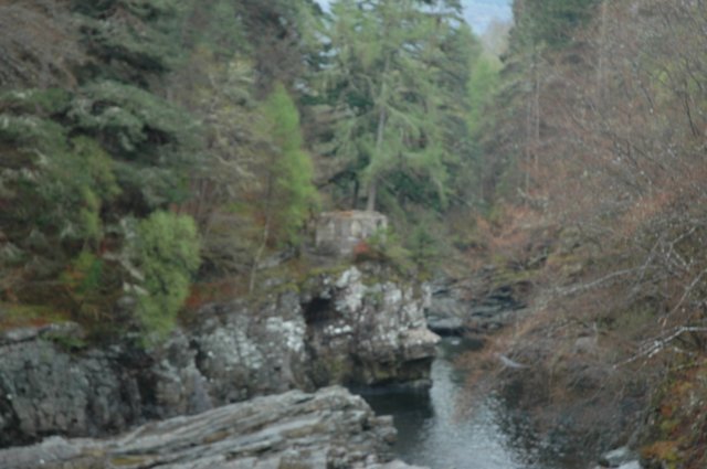 dsc_0519.jpg