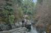 dsc_0519_small.jpg