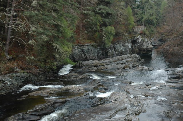 dsc_0520.jpg