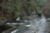 dsc_0520_small.jpg