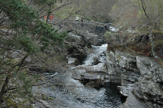 dsc_0522.jpg