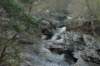 dsc_0522_small.jpg