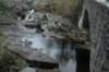dsc_0524_small.jpg