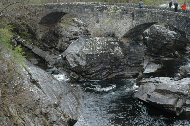 dsc_0525.jpg