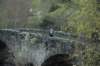 dsc_0528_small.jpg