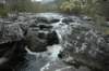 dsc_0530_small.jpg