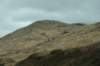 dsc_0727_small.jpg