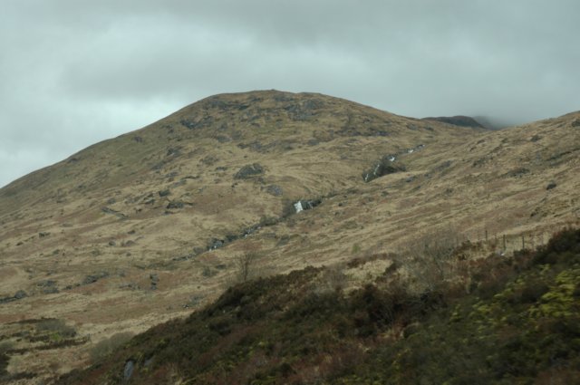 dsc_0728.jpg