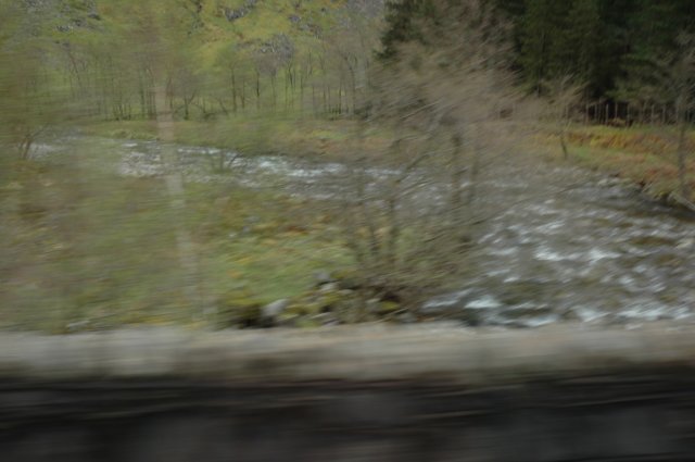 dsc_0742.jpg