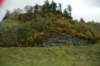 dsc_0762_small.jpg