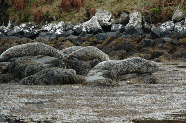 dsc_0828.jpg
