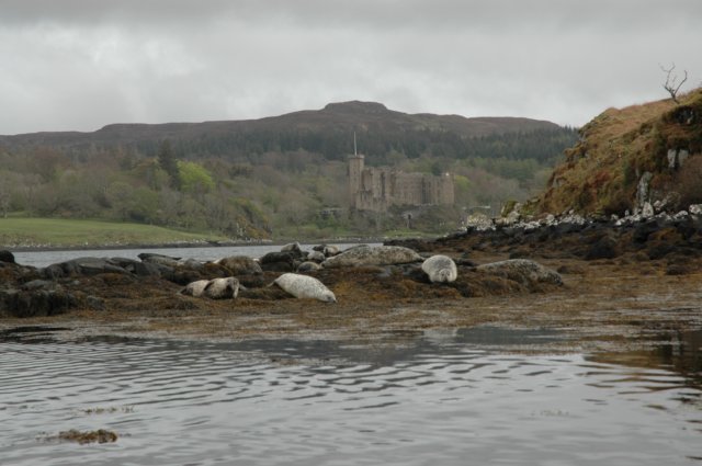 dsc_0834.jpg