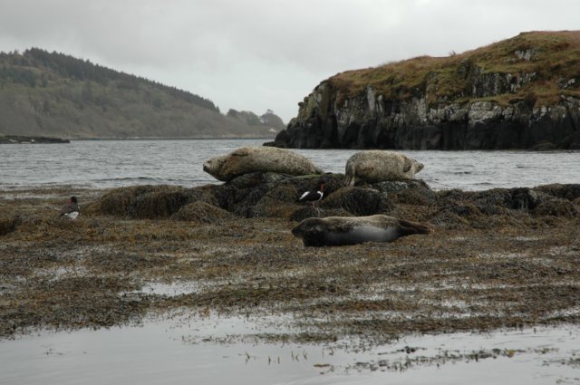 dsc_0845.jpg