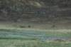 dsc_0929_small.jpg
