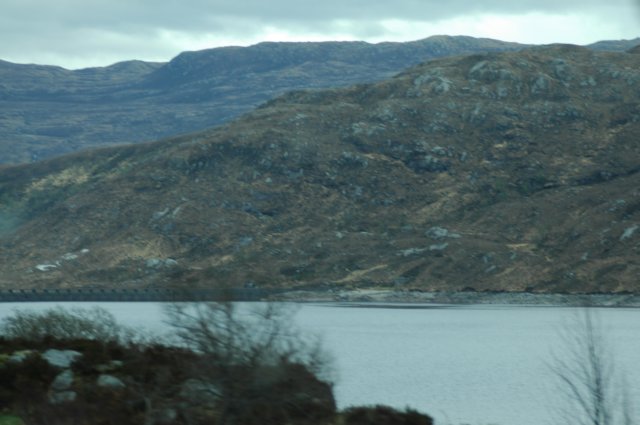 dsc_0933.jpg