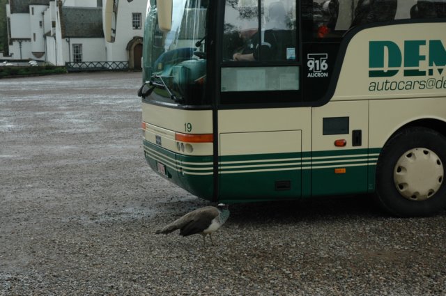 dsc_1016.jpg