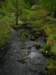 schotlandreis2007180_small.jpg