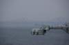 dsc00083_small.jpg