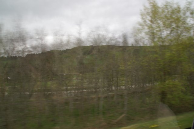 dsc00176.jpg