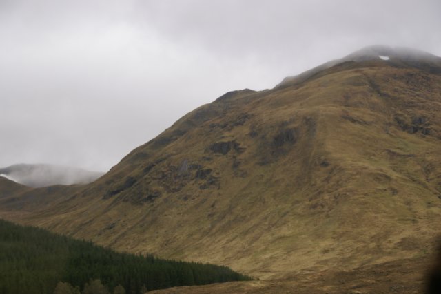dsc00390.jpg