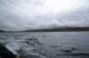 dsc00473_small.jpg