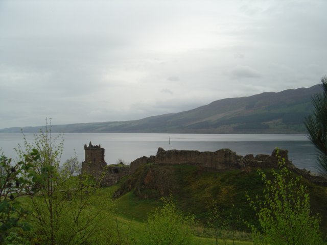 photo176.jpg