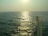 photo356_small.jpg