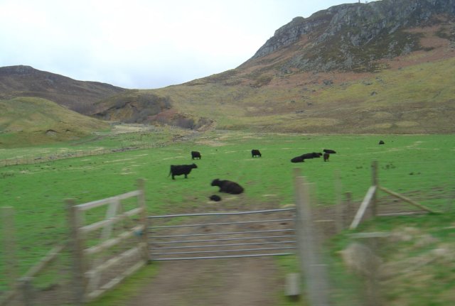 photo89.jpg