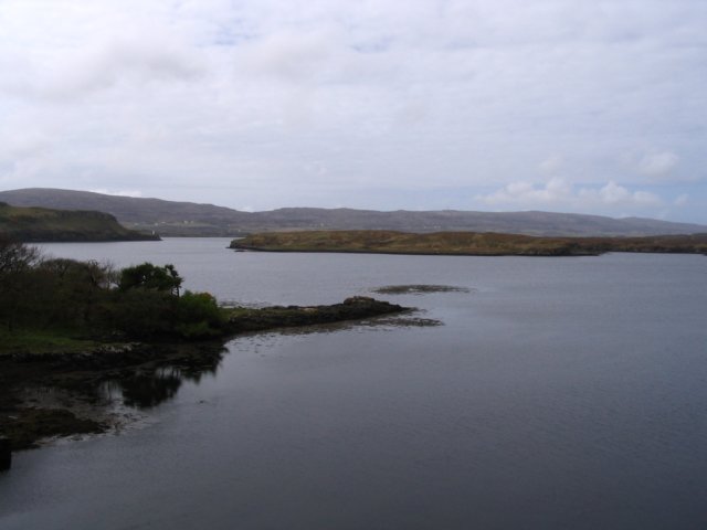 img_2656.jpg