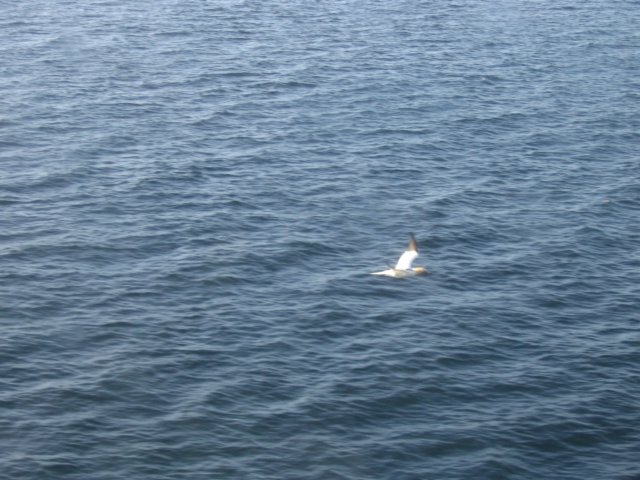 img_2864.jpg