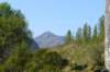 p1070676_small.jpg