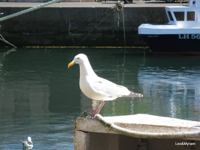 img_3913.jpg