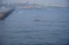 dsc_0093_small.jpg