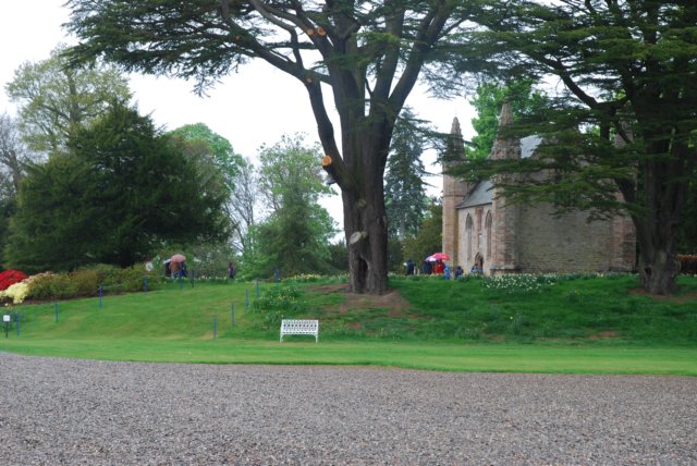 dsc_0147.jpg