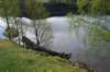 dsc_0244_small.jpg