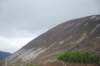 dsc_0358_small.jpg