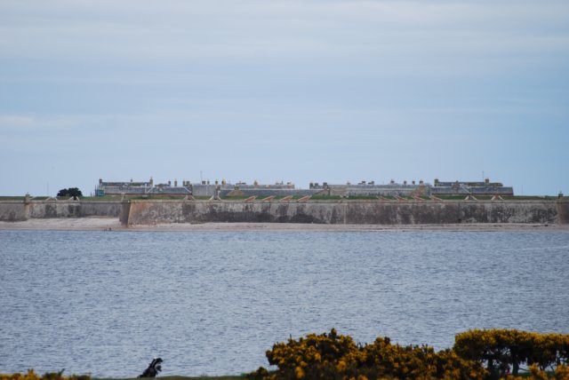 dsc_0399.jpg