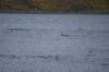 dsc_0424_small.jpg
