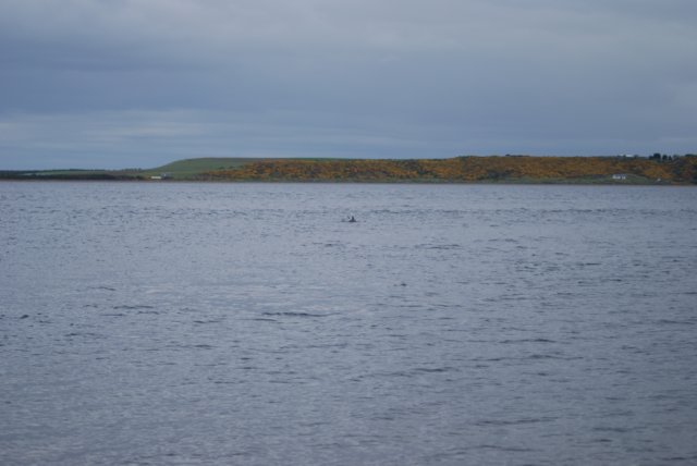 dsc_0426.jpg