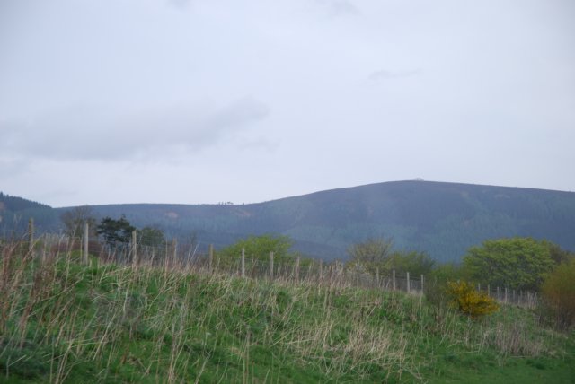 dsc_0454.jpg