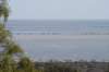 dsc_0528_small.jpg
