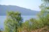 dsc_0656_small.jpg