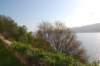 dsc_0657_small.jpg
